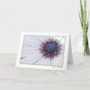Purple Centre Daisy Card