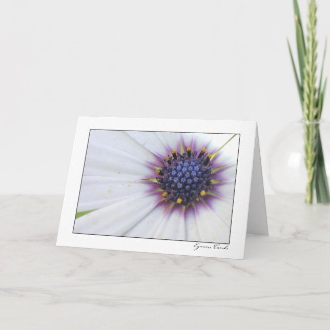 Purple Centre Daisy Card (Front)