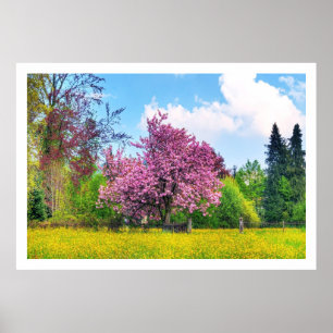 Purple Cherry Tree On Yellow Flower Field Poster