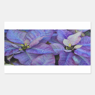 Purple christmas poinsettia rectangular sticker