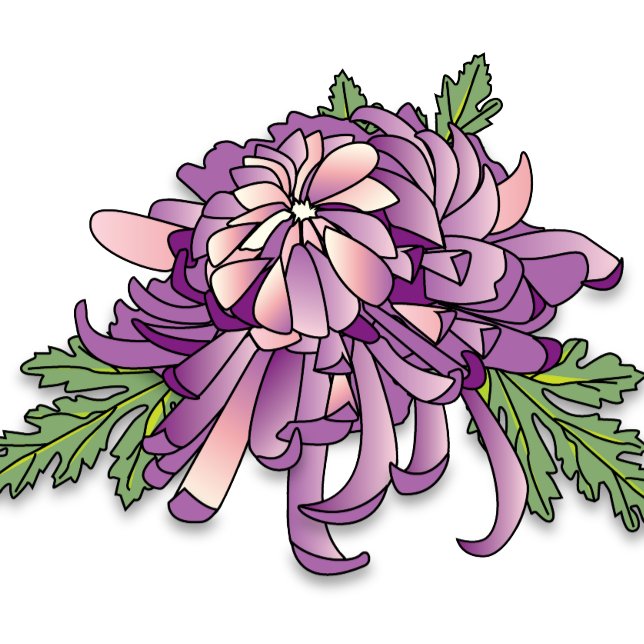 Purple Chrysanthemum Mug (Creator Uploaded)