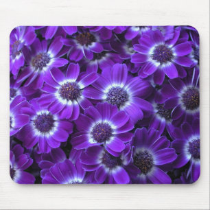 Purple Cineraria Mouse Mat