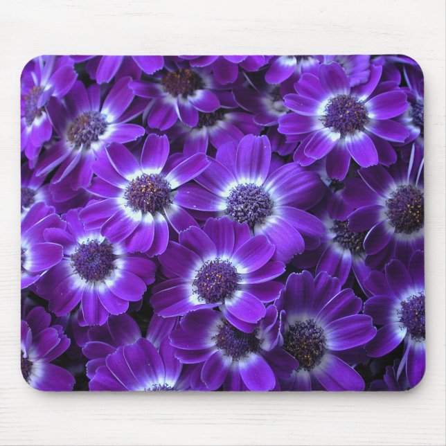 Purple Cineraria Mouse Mat (Front)