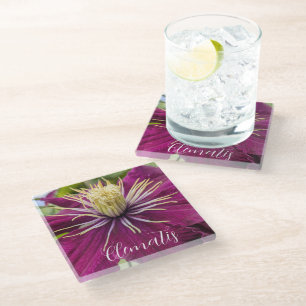 Purple Clematis Bloom Floral Glass Coaster