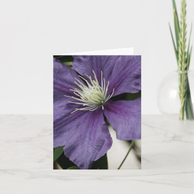 Purple Clematis Card (Front)