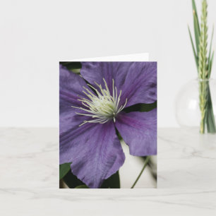 Purple Clematis Card