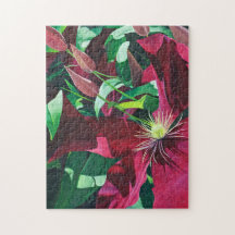 Purple Clematis Floral 