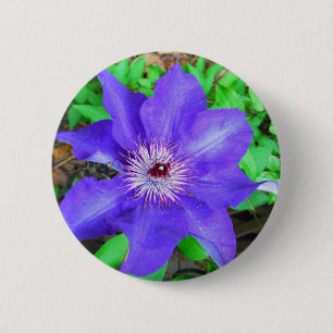 Purple Clematis Flower 6 Cm Round Badge