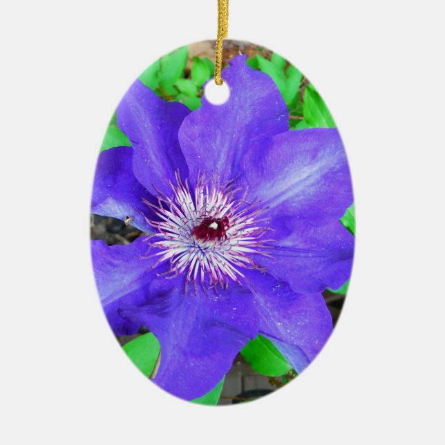 Purple Clematis Flower Ceramic Tree Decoration (Front)