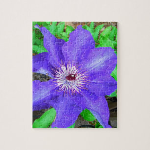 Purple Clematis Flower Jigsaw Puzzle