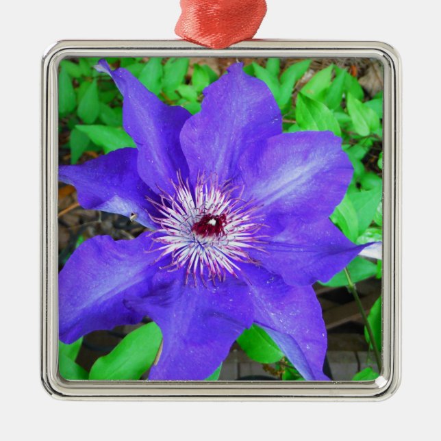 Purple Clematis Flower Metal Tree Decoration (Front)