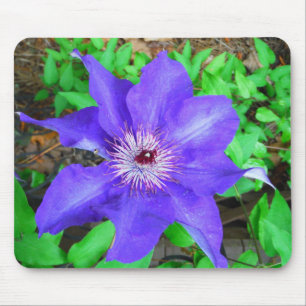 Purple Clematis Flower Mouse Mat