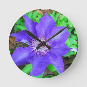 Purple Clematis Flower Round Clock