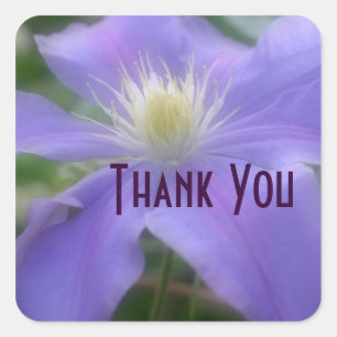 Purple Clematis Flower Thank You Sticker
