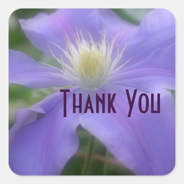 Purple Clematis Flower Thank You Sticker (Front)