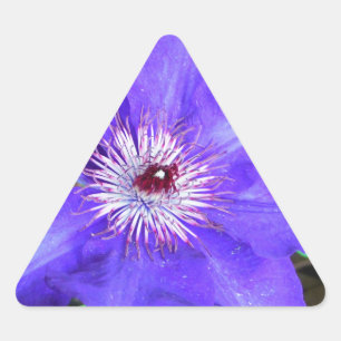 Purple Clematis Flower Triangle Sticker