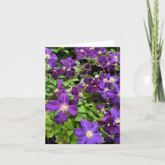 Purple Clematis Flowers And Leaves Photograph Card