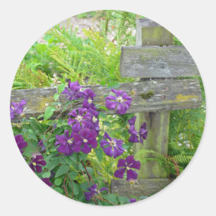 Purple clematis flowers on wooden fence classic round sticker