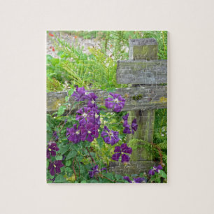 Purple clematis flowers on wooden fence jigsaw puzzle