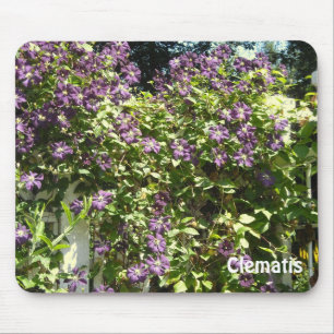 Purple Clematis Garden Mouse Mat
