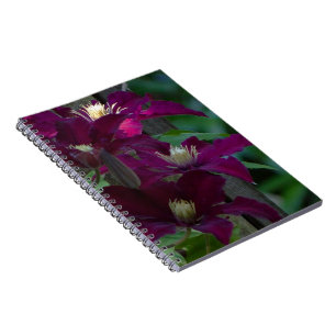 Purple Clematis Notebook