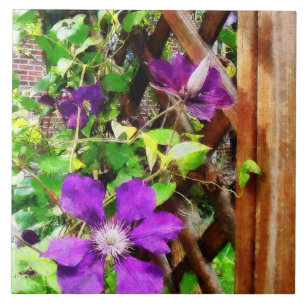 Purple Clematis on Trellis Tile