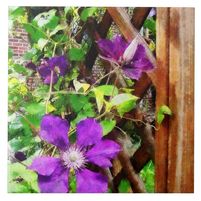 Purple Clematis on Trellis Tile (Front)
