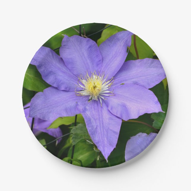 Purple Clematis Paper Plate (Front)