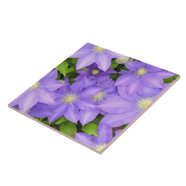 PURPLE CLEMATIS (PHOTOG) LARGE CERAMIC TILE/TRIVET TILE (Side)