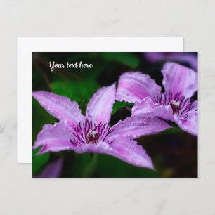 Purple Clematis Postcard