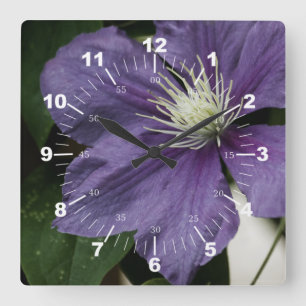 Purple Clematis Square Wall Clock