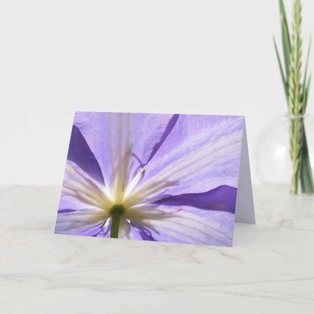 Purple clematis - Sympathy card (Front)