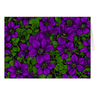 Purple Clematis vine