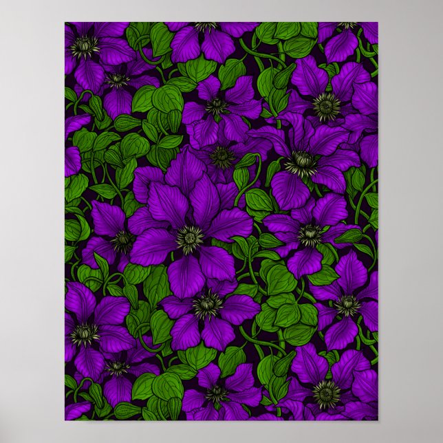 Purple Clematis vine Poster (Front)