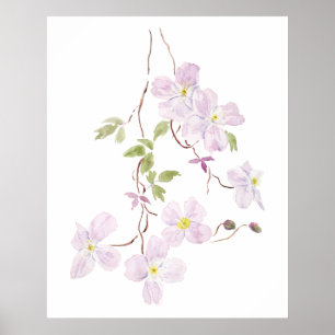 purple clematis watercolor poster