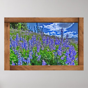 Purple Colorado wildflower scenic poster print