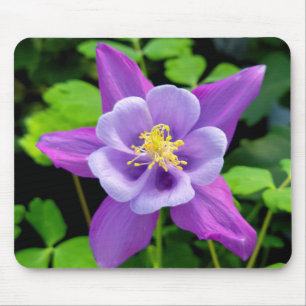Purple Columbine Flower Mouse Mat