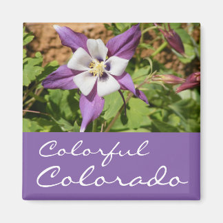 Purple Columbine Magnet