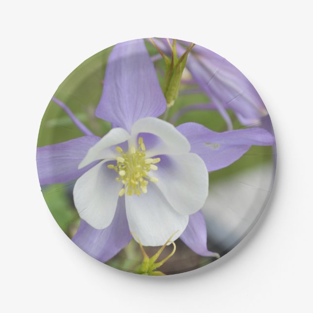 Purple Columbine Paper Plate (Front)