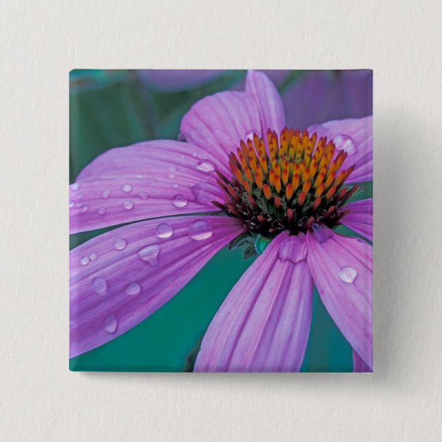 Purple Cone flower with water drops 15 Cm Square Badge (Front)