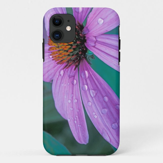 Purple Cone flower with water drops Case-Mate iPhone Case (Back)