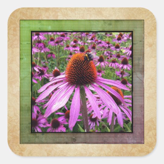 Purple Coneflower Echinacea Wildflower Sticker