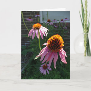 Purple Coneflower, Faith, Hope and Love Card