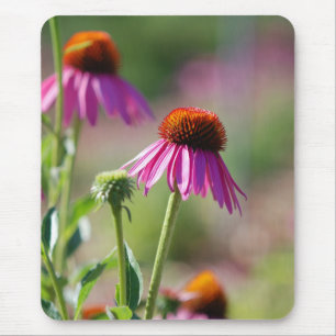 Purple Coneflower Mouse Mat