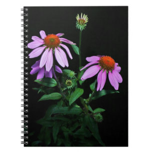 Purple Coneflower Notebook