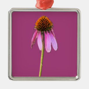 Purple Coneflower Ornament
