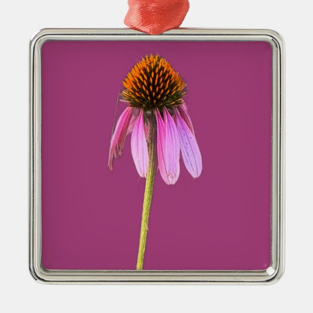 Purple Coneflower Ornament (Front)