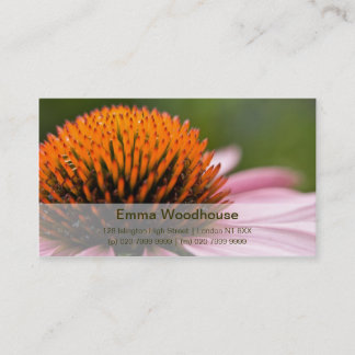 Purple Coneflower | Sonnenhut Business Card