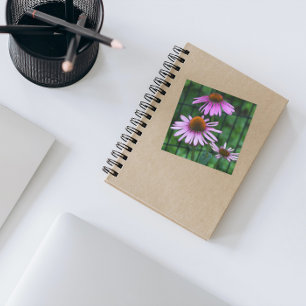 Purple Coneflowers Floral Square Sticker