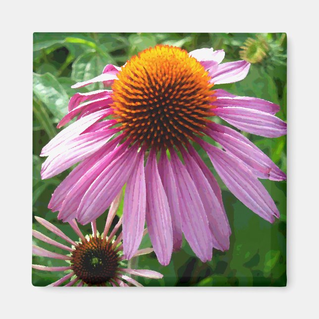 Purple Coneflowers Magnet (Front)